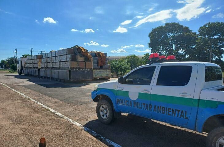 Imagem de compartilhamento para o artigo Operação Boas Festas da PMA capturou 89 animais em Mato Grosso do Sul da MS Todo dia